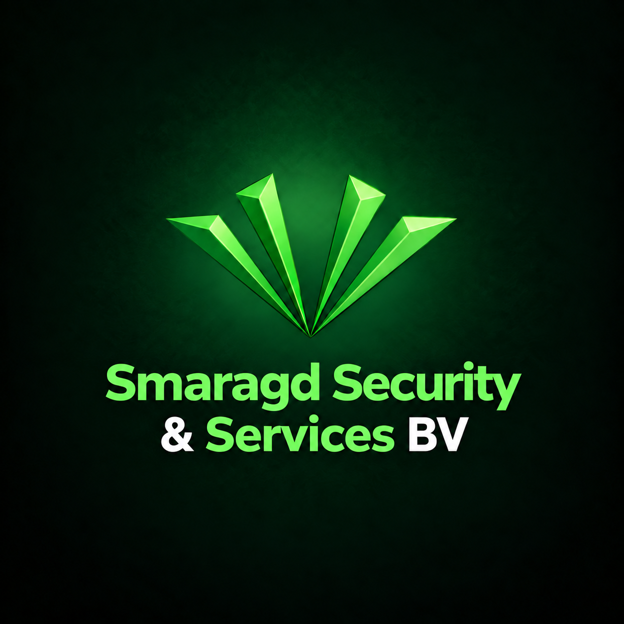 Smaragd Security & Services BV